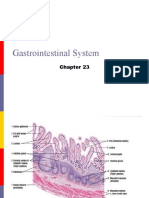 Gastrointestinal Documet