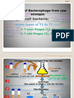 Virology LAB Presentation