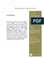 Media Report - E-Initiative to develop labor market in Sinai