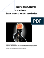 Sistema Nervioso Central