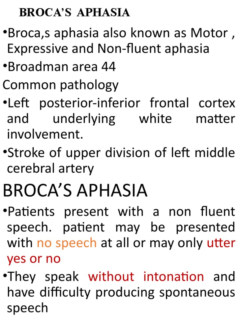 Understanding Broca's Aphasia Symptoms | PDF | Speech | Aphasia