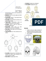 Clinica Parcial 2