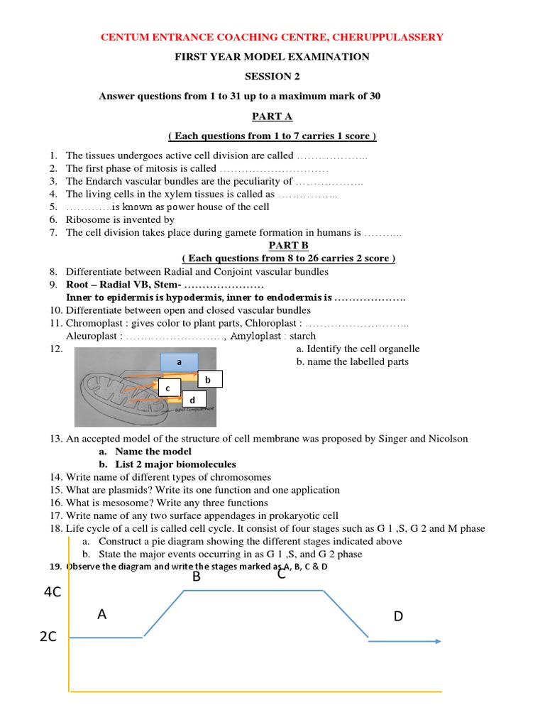 Biology Exam Prep for Students | PDF | Mitosis | Cell (Biology)