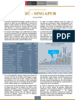 RCB Singapur - Anual 2020