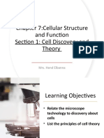 Chapter 7:cellular Structure and Function Section 1: Cell Discovery and Theory