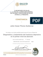 Diagnóstico y Tratamiento Del Trastorno Depresivo en El Primer Nivel de Atención-Constancia 845653