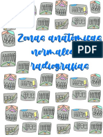 Anatomía en Radiografías Dentales