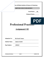 Professional Practices: Assignment # 02