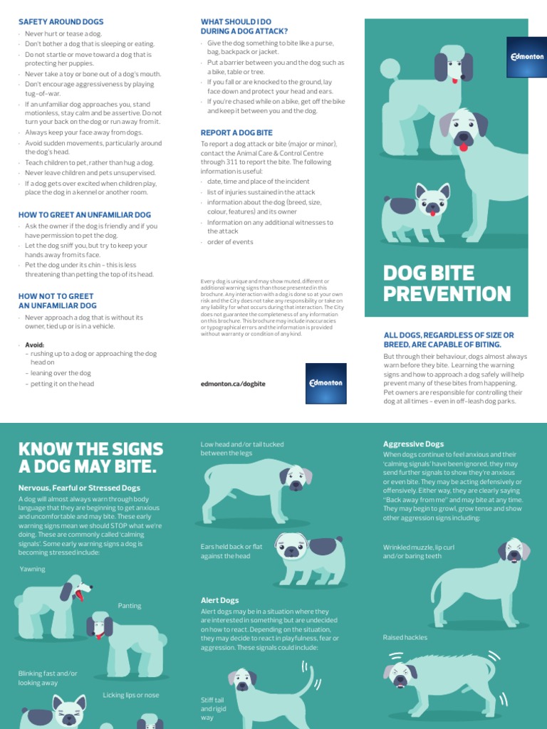 City of Edmonton Dog Bite Prevention Brochure PDF Dogs Pet