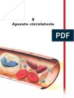 Lectura Aparato Cardiovascular