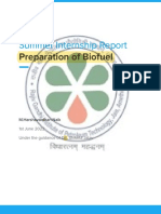 Summer Internship Report: Preparation of Biofuel