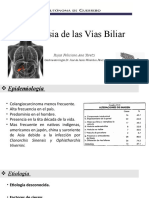 Neoplasia de Las Vias Biliares