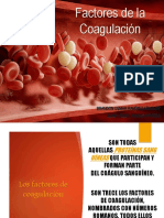 Cascadadecoagulacin 170414205517