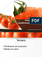 Producción Tomate