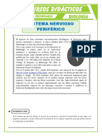 El Sistema Nervioso Periférico para Tercero de Secundaria