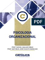 Livro de Psicologia Organizacional