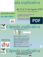 Clase N°2 Cápsula Explicativa Del 10 Al 14 Agosto Lenguaje 5° Año