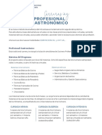 Programa PROFESIONAL GASTRONOMICO IAG ARGENTINA