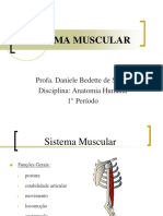 4 - Sistema Muscular