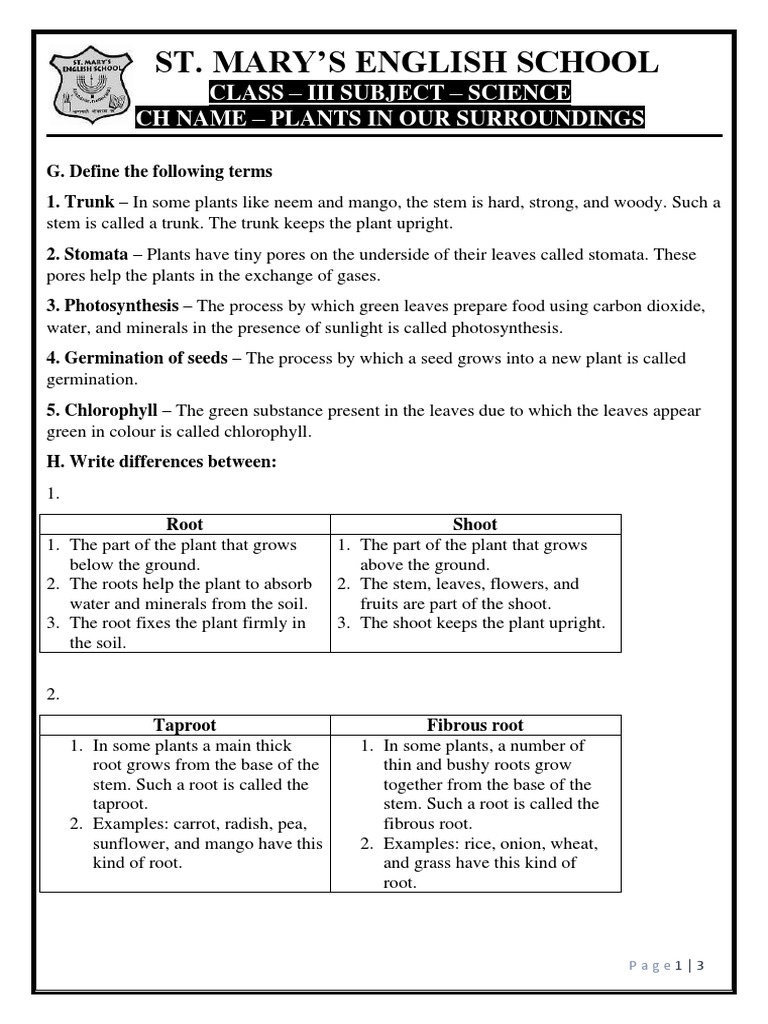 Understanding Plants for Class 3 | PDF | Leaf | Seed