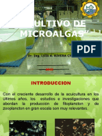 Cultivo de Microalgas