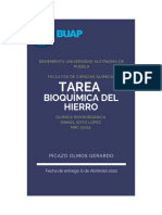 Bioquímica Del Hierro - PicazoOlmosGerardo