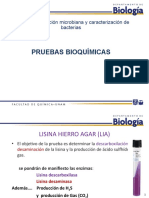 Pruebas Bioquímicas: UNIDAD 7: Nutrición Microbiana y Caracterización de Bacterias