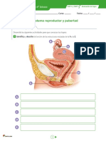 Ciencias Repaso 2