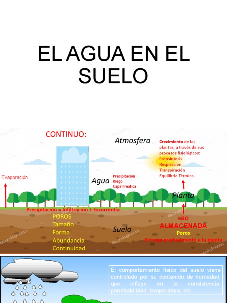 Agua y su Potencial en el Suelo | PDF | Agua | Propiedades del agua