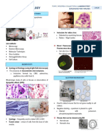 Part Ii Specimen Collection & Laboratory Diagnosis For Viruses