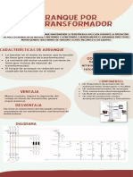 Infografia Evolucion Humana Ilustrado Colores Neutrales