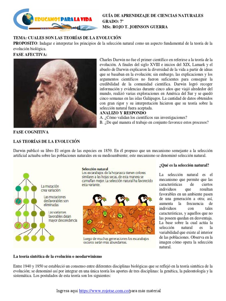 Teorías de la Evolución y Selección Natural | PDF | Evolución ...