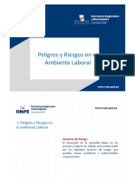 PELIGROS Y RIESGOS EN EL AMBIENTE LABORAL ERM 2022