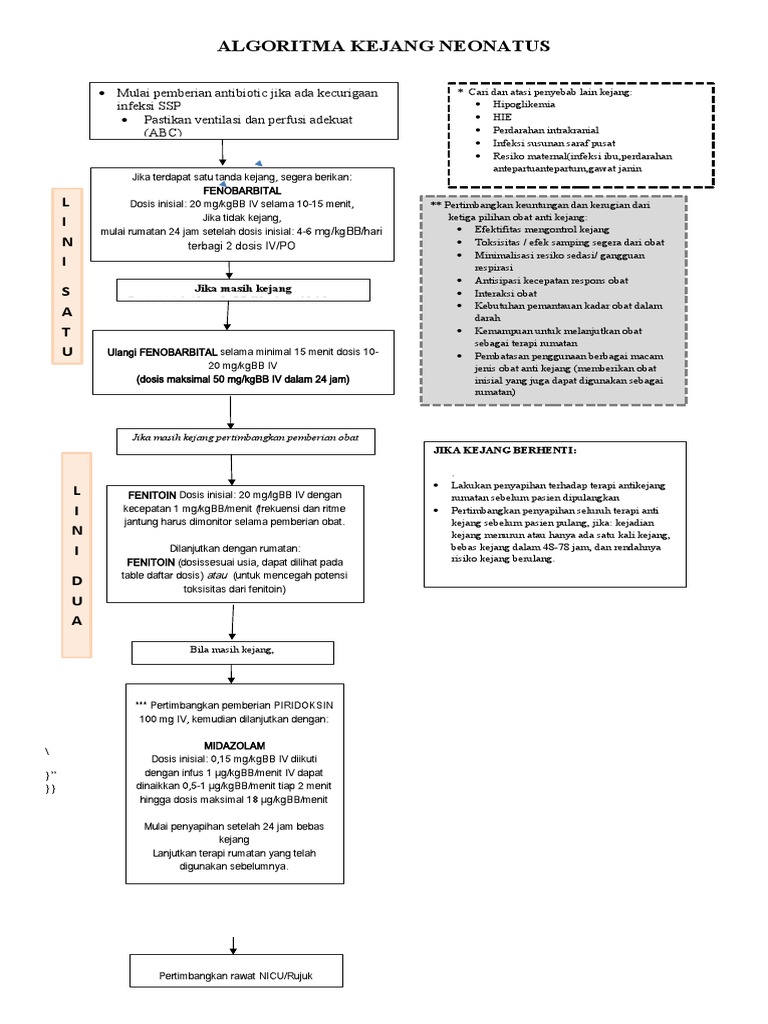 Algoritma Kejang Neonatus | PDF