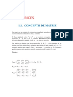 1.1 CONCEPTO DE MATRIZ