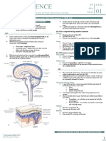 01 Neuroscience: Introduction and Organization of The Nervous System