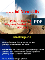 Medial Menisküs