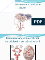 Accidentele Vasculare Cerebrale Acute-Slide Show