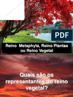 Reino Plantae