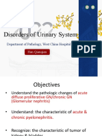 Disorders of Urinary System