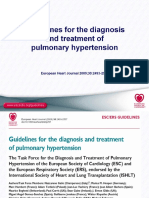 PAHGuidelines PH Slides