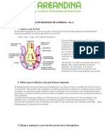 Taller Difusion de Monoxido de Carbono