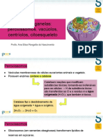 Aula 8 - Demais Organelas - Peroxissomos, Vacúolos, Centríolos, Citoesqueleto