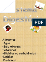 Sistema Digestório