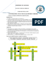 Actividad Del Ciclo Celular Mitosis, Meoisis Grupal