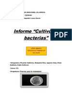 Avance Informe de Cultivo de Bacterias
