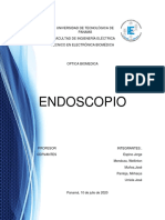 Endoscopio: componentes ópticos y mantenimiento