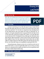 Lactate