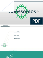 Ribossomos: estrutura, funções e tipos