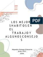 AA9 EVI 7 LOS MEJORES Habitos en El Trabajo y Algunos Consejos